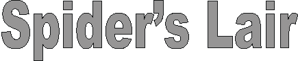 spiders_lair.gif (2268 bytes)