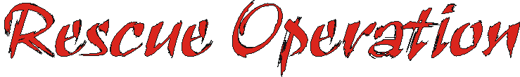 rescueoperation.gif (4551 bytes)