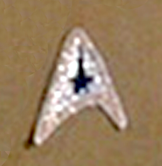 oaa_command_insignia.jpg (156166 bytes)