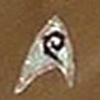oaa_engineering_insignia.jpg (11090 bytes)
