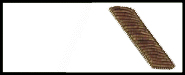 oac_epaulet_lt.jpg (10501 bytes)