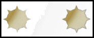 oac_ranks_tabs_vadm.jpg (13802 bytes)