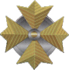 oae_pin_vice_adm.jpg (16440 bytes)